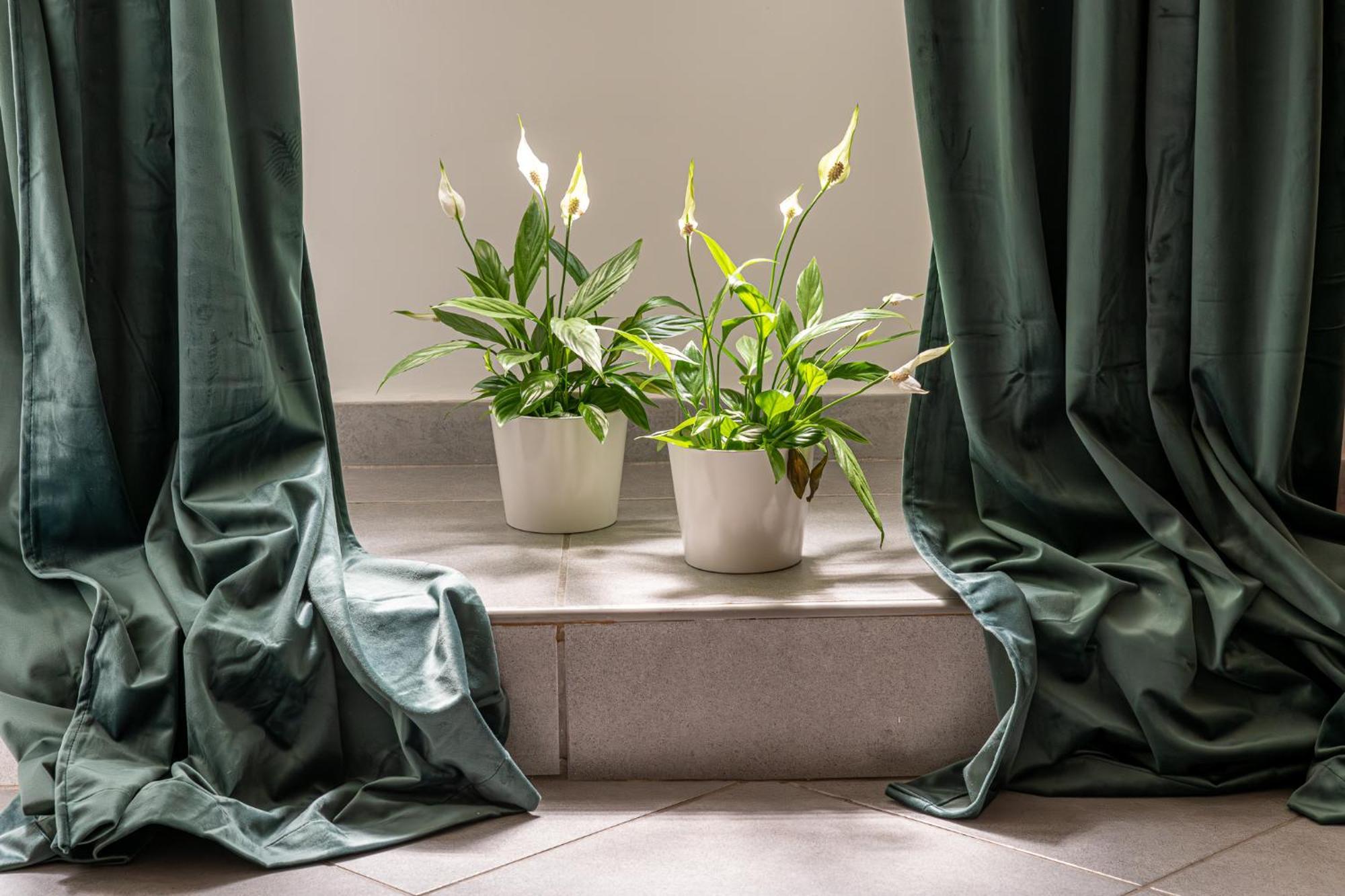 Belle Arti Home Рим Экстерьер фото
